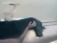 Woman likes her dog to fucking her
